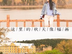 -茅兰沟国家森林公园