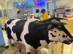 -红星前进面包牛奶公司(君太店)