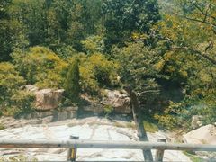 -泰山风景名胜区