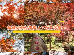 -广州市帽峰山景区