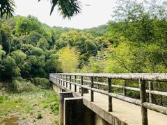 -宝界山林公园