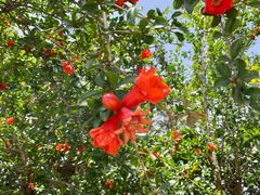 -加泰罗尼亚广场