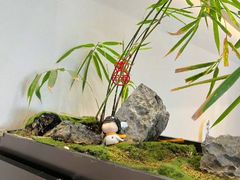 -俏立方·15年新楚菜