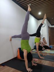 -兴亚瑜伽20年老馆