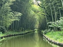 -同里国家湿地公园