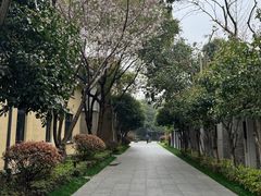 -颐和路民国时期公馆风貌区