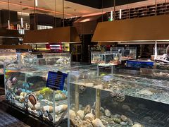 -璞御·海鲜·雪花牛肉局(宾水西道店)