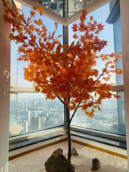 -松和日式美容整骨