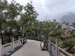 -牛背梁国家森林公园