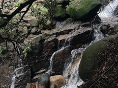 -火炉山森林公园
