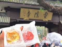 -南宋胡记(杭州灵隐寺店)