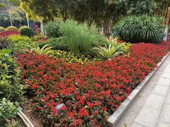 -广州国际生物岛