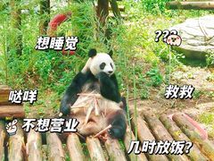 -红山森林动物园