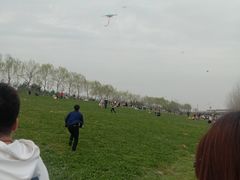 -洨河生态公园