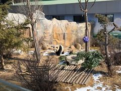 -青藏高原野生动物园