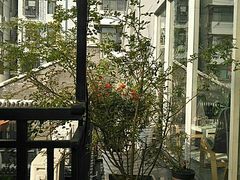 -边渡咖啡烘焙店(昙华林店)