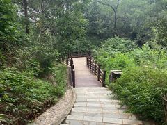 -北京西山国家森林公园