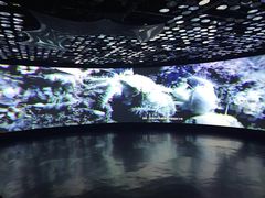 -同济大学四平路校区深海探索馆