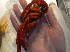 -华仔龙虾(永乐路总店)