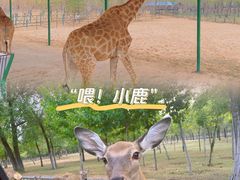 -秦皇岛野生动物园