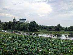 -哈尔滨大剧院