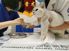 -宠福鑫动物医院(立水桥分院)