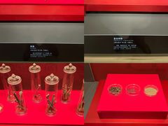 -北京大葆台遗址博物馆