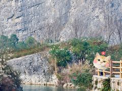 -铜锣山矿山公园