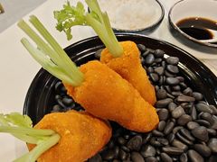 -丁老爷子苏香圆