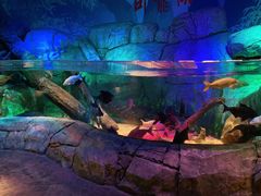 -沈阳海洋探索中心