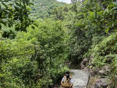 -广州白江湖森林公园