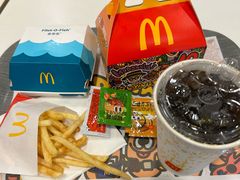 -麦当劳(从化从城大道店)