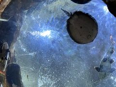 -海合安青岛极地海洋公园