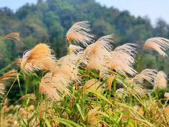 -会稽山峡洞漂流-上青古道
