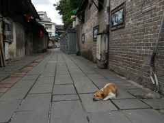 -周血旺老店
