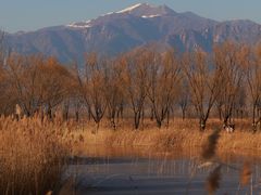 -野鸭湖国家湿地公园