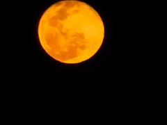 -澳门旅游塔360°旋转餐厅(南湾湖广场店)