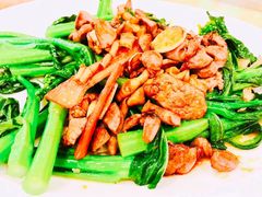 -大树头森林餐厅(番禺广场店)
