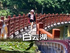 -洛阳白云山景区