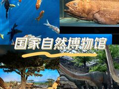 -国家自然博物馆