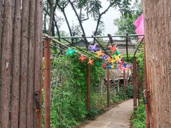 -南窖乡水峪村山情农家