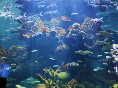 -多彩贵州城极地海洋世界