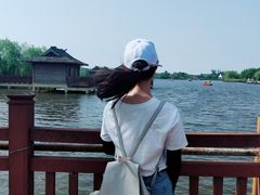 -杭州湾海上花田景区