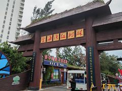 -北海金海湾红树林生态旅游区