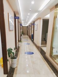 -碧莲盛·不剃发植发