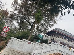 -岳麓山风景名胜区