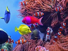 -太平洋海底世界