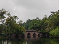 -桂湖森林公园