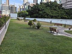 -九龙公园