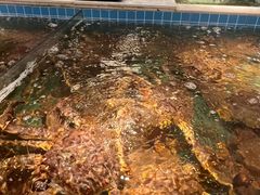 -德天雪花肥牛海鲜火锅(南苑东路店)